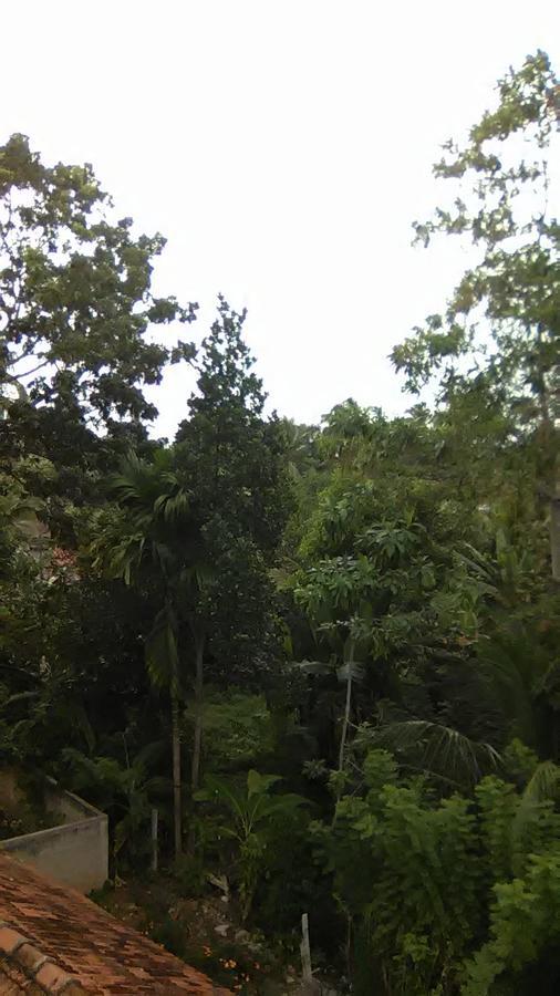 Mallika Resort Mirissa Luaran gambar