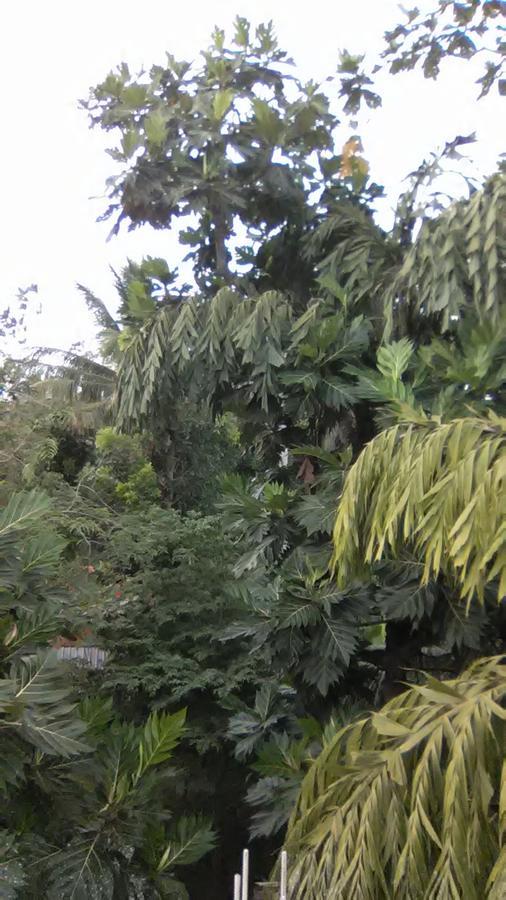 Mallika Resort Mirissa Luaran gambar
