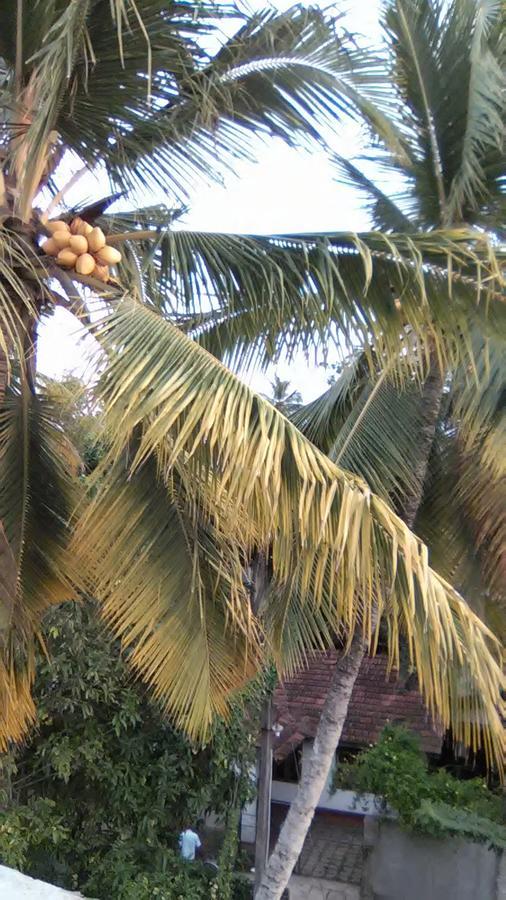 Mallika Resort Mirissa Luaran gambar